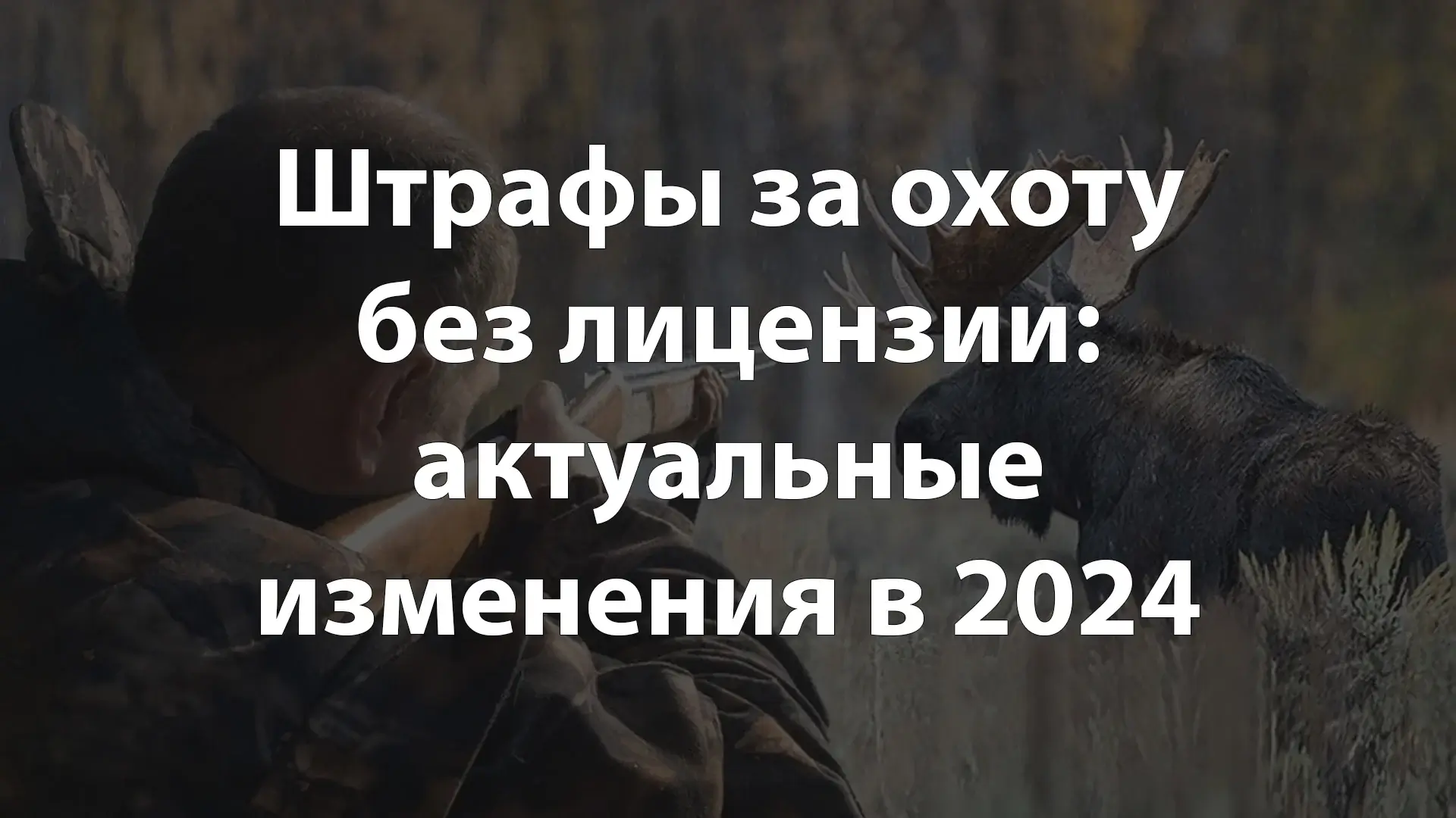 Штрафы за охоту без лицензии: актуальные изменения в 2024 году