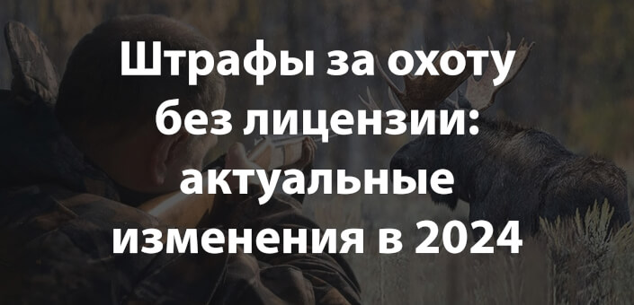 Штрафы за охоту без лицензии: актуальные изменения в 2024 году