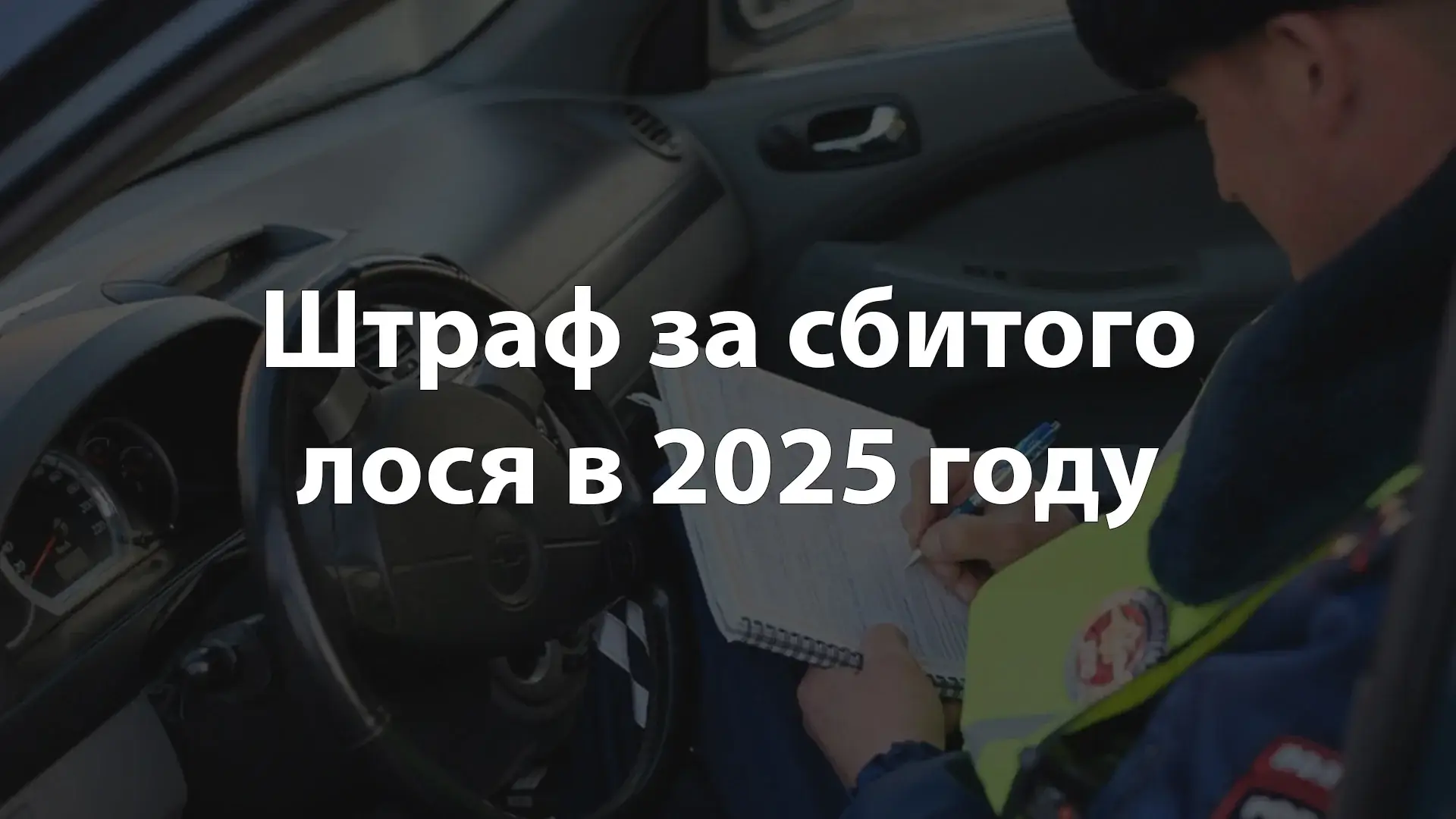 Штраф за сбитого лося в 2025 году